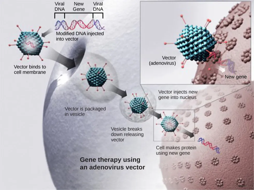 Unleashing the Power of Biotechnology: Exploring its Potential Applications in Medicine and Agriculture